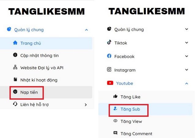 Nạp tiền và chọn dịch vụ tăng sub.