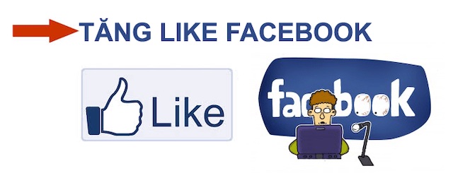 Tăng like cho facebook - một công cụ hỗ trợ quảng bá hình ảnh thương hiệu